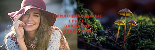 бошки Краснослободск