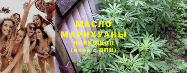 сатива Лабытнанги