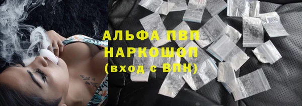 сатива Лабытнанги